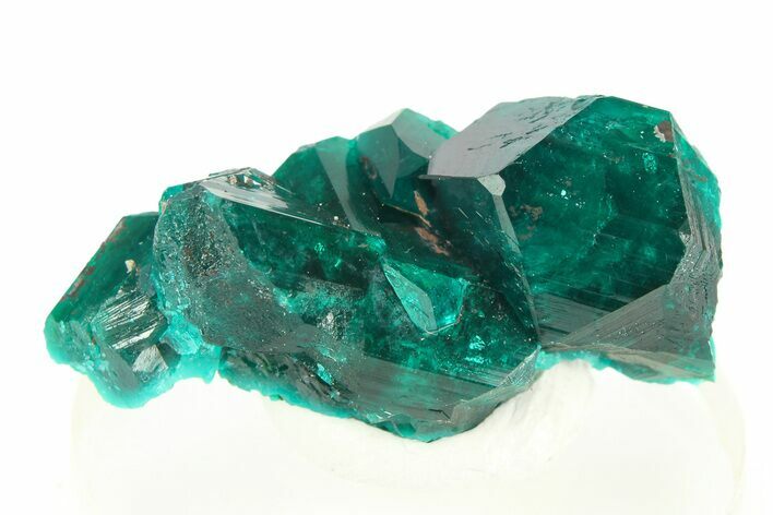 Gemmy Dioptase Crystal Cluster - Republic of the Congo #312415